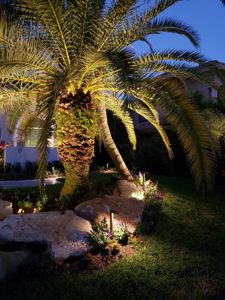 William Sample Landscape and Outdoor Lighting Residential Property Tree view